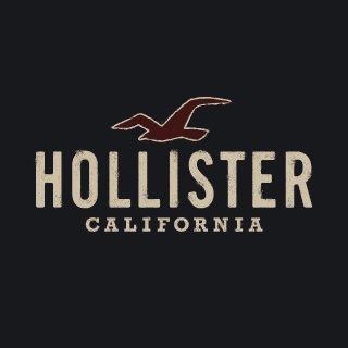 Nhà Sản Xuất Hollister | Thời Trang Hollister | Hàng Hiệu Hollister ...